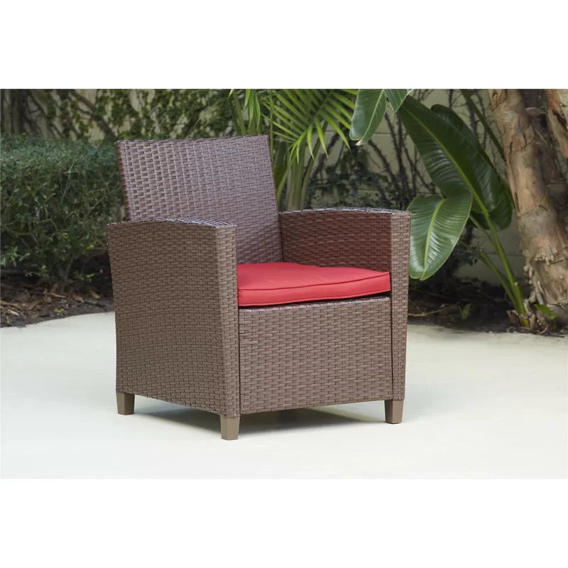 Wicker 4 - Person Garden Lounge Set with Cushions