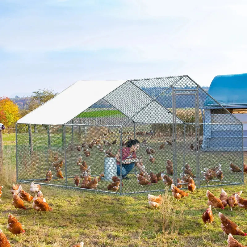 10′ x 10′ Heavy-Duty Walk-In Metal Chicken Coop ¨C Weatherproof Poultry Enclosure for Backyard Farms. Rabbits. Cats. or Small Dogs