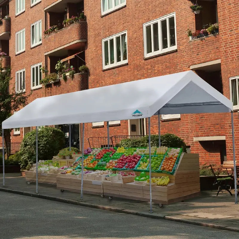 10¡ä x 20¡ä Adjustable Height Carport ¨C Heavy-Duty Portable Canopy for Vehicles. Boats. or Events (9.5¨C11 ft height. Beige)