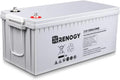 12V 100Ah AGM Deep Cycle Battery ¡ª Low Self-Discharge. High Surge Current. Maintenance-Free Power Source