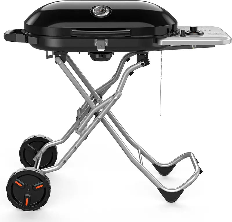 2-Burner Propane BBQ Grill with Cast Iron Grates and Frying Pan Accessory