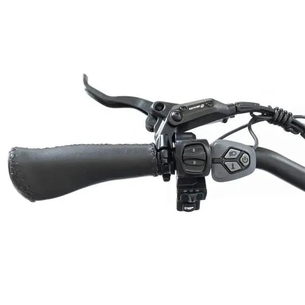 20-Inch Foldable Fat-Tire Electric Trike ¨C 48V/14Ah Battery. 750W Motor. 330-Lb Capacity