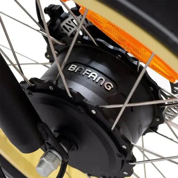 20-Inch Foldable Fat-Tire Electric Trike ¨C 48V/14Ah Battery. 750W Motor. 330-Lb Capacity