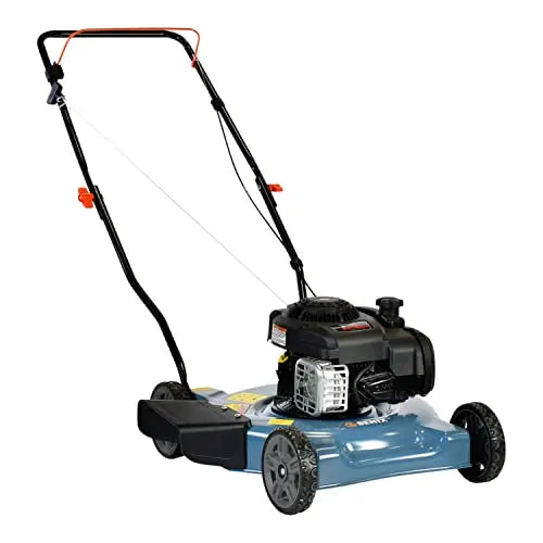 20-Inch Push Gas Lawn Mower with 125cc Briggs &amp; Stratton 4-Cycle Engine