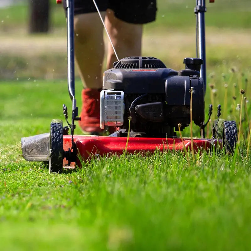 20-Inch Steel-Deck Gas Lawn Mower ¨C Side-Discharge Push Mower with Pre-Installed Oil. Red/Black Finish